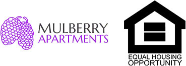 MB-EqualOpp-Logo-369px